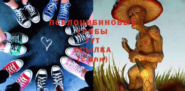 сатива Мегион