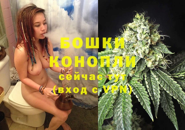 сатива Мегион