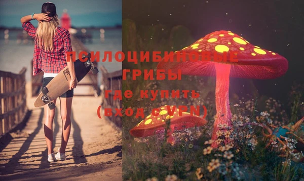 сатива Мегион