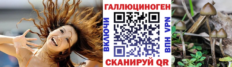 Купить  Лахденпохья  Псилоцибиновые грибы ЛСД 